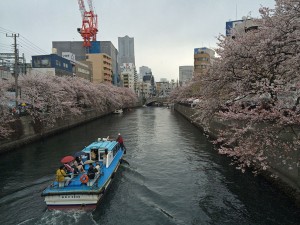 大岡川